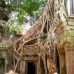 Camboya
