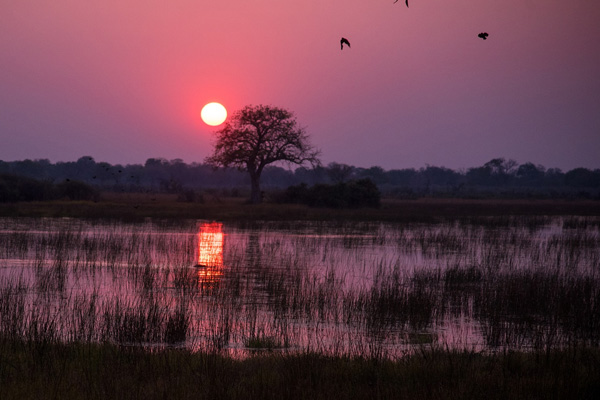 Enero a diciembre 2026: Victoria Falls, Chobe y Okavango 2