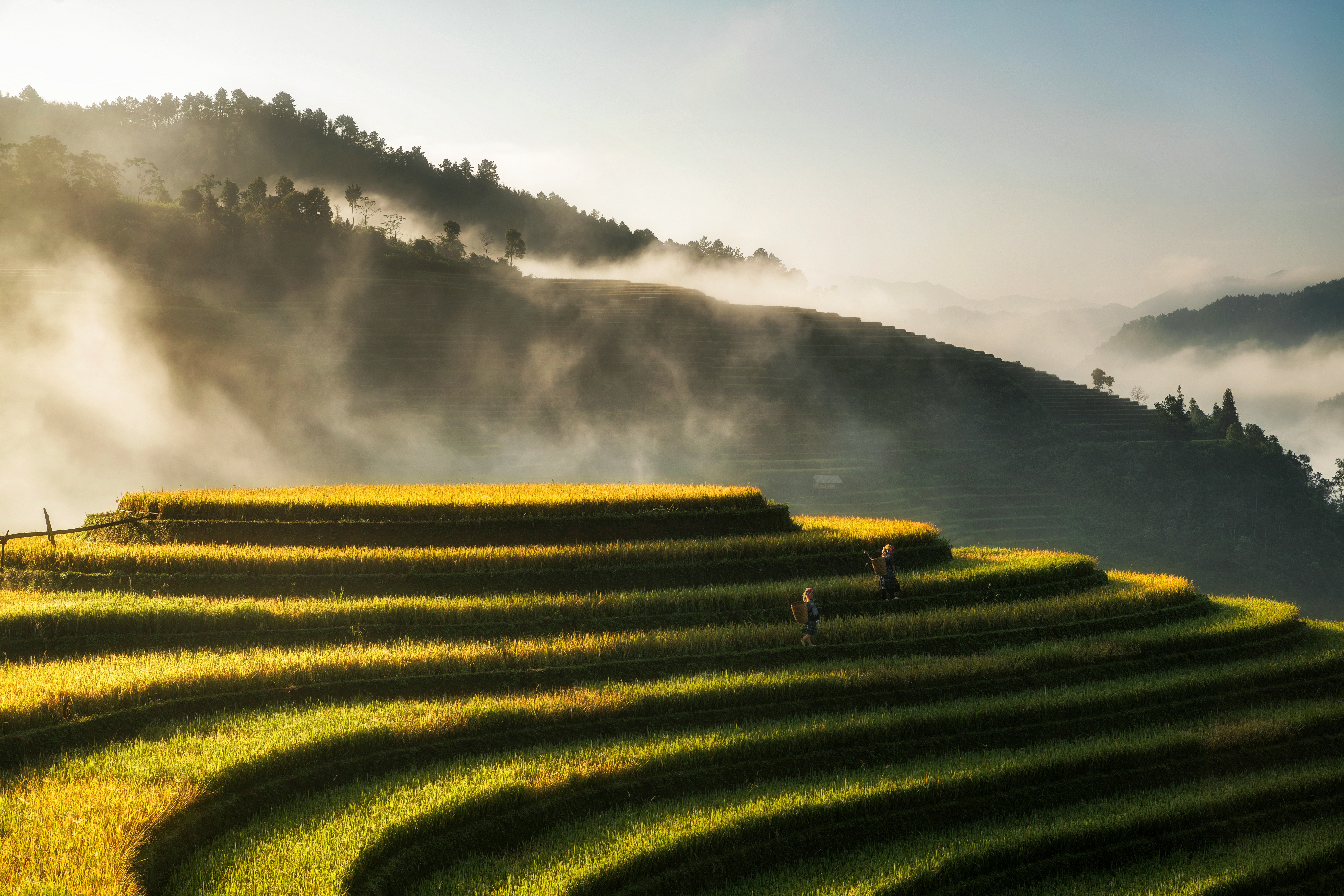 Vietnam, maravillados ante la belleza sublime de su marco natural.
