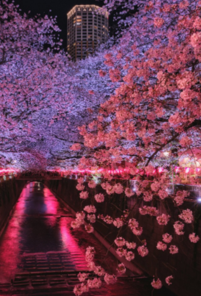 Colores de Japón